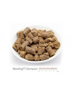MaxiDog Champion