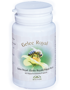 Gelee Royale