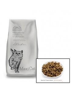 MaxiCat Sterne Menü