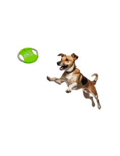 Hundespielzeug Wurfring