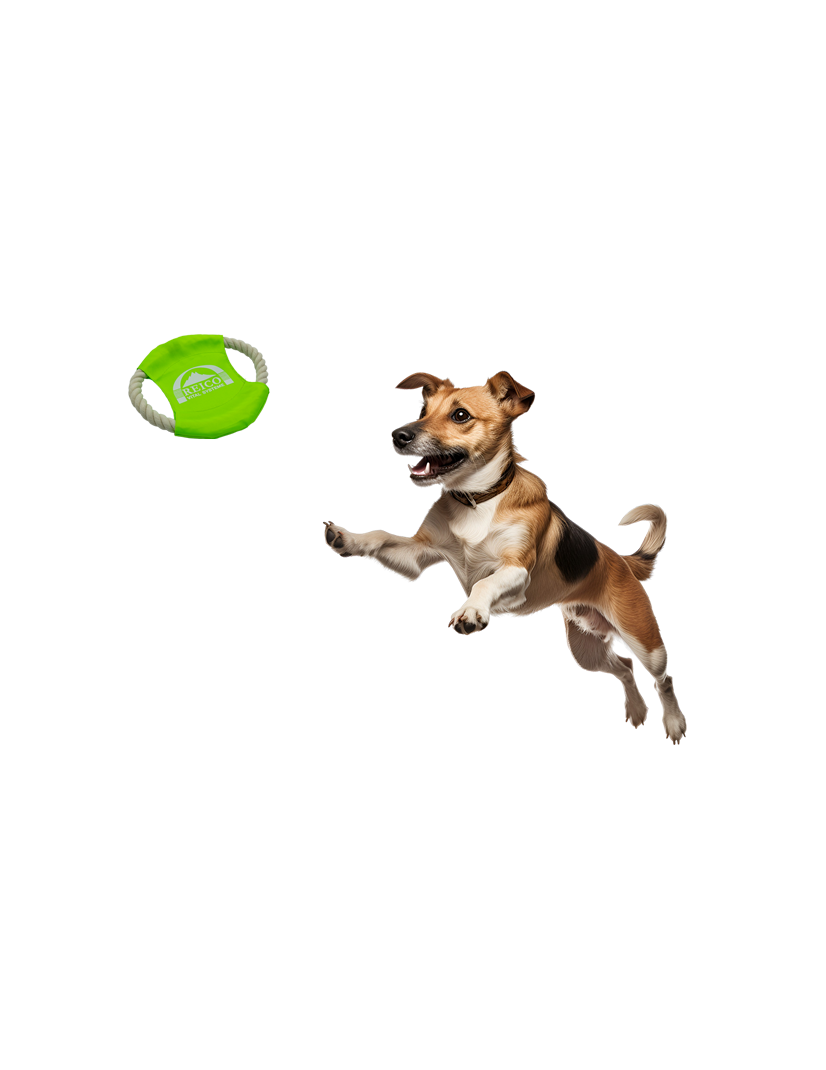 Hundespielzeug Wurfring