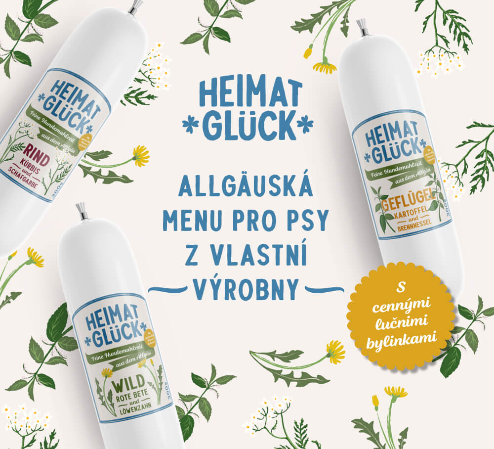 Přihlaste se ke svému účtu